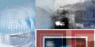 blueprint blog: notes, photos, reflections