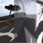 journey into lockdown, back to blogging, #aprillove2020, a selfquarantine exhibition + art is where what we survive survives