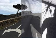 journey into lockdown, back to blogging, #aprillove2020, a selfquarantine exhibition + art is where what we survive survives