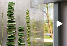 the new normal: digital art academy, and a daily art task